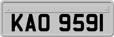 KAO9591