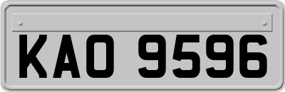 KAO9596