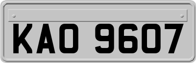KAO9607
