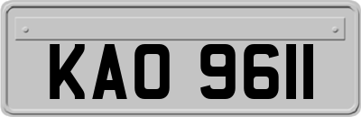 KAO9611