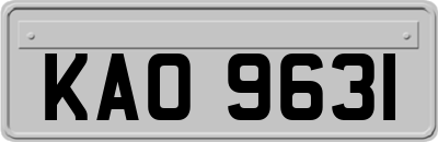 KAO9631