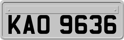 KAO9636