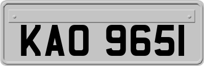 KAO9651