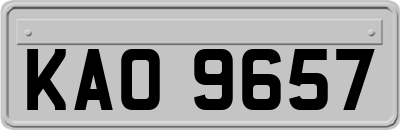 KAO9657