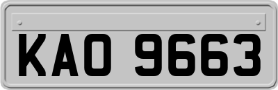 KAO9663