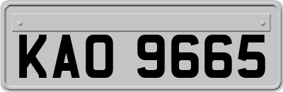 KAO9665
