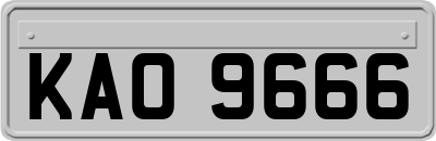 KAO9666