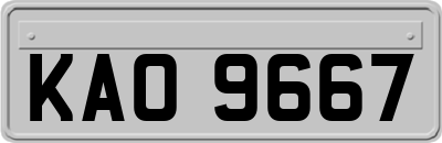 KAO9667