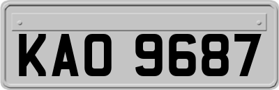 KAO9687