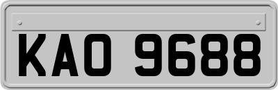 KAO9688