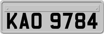 KAO9784