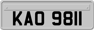 KAO9811