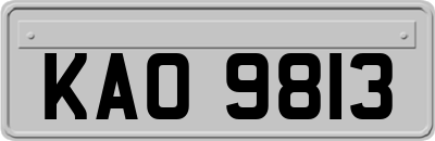 KAO9813