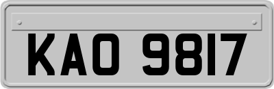 KAO9817