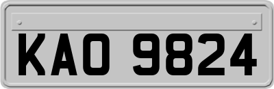 KAO9824