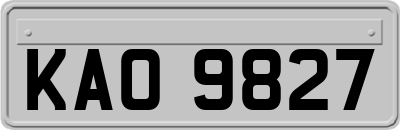 KAO9827