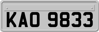 KAO9833
