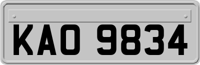 KAO9834