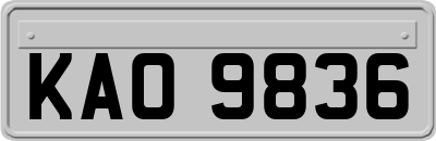 KAO9836