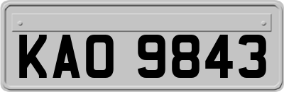 KAO9843