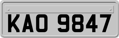 KAO9847