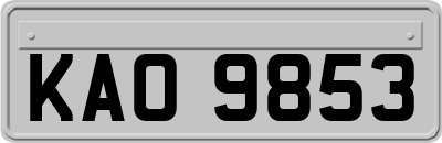 KAO9853