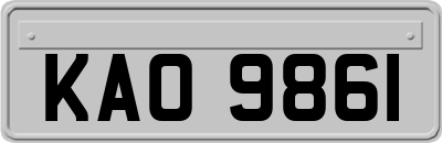 KAO9861