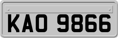 KAO9866
