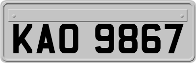 KAO9867