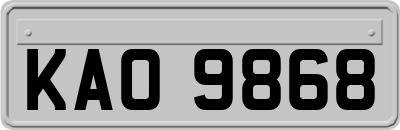 KAO9868