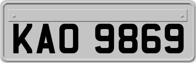 KAO9869