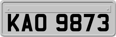 KAO9873