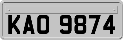 KAO9874
