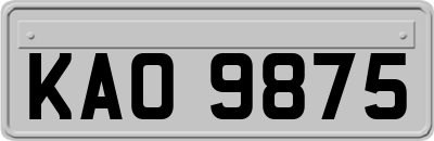 KAO9875