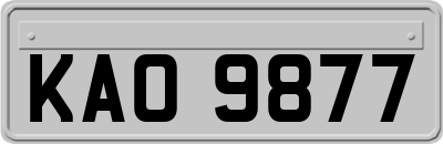 KAO9877