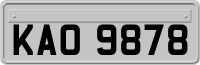 KAO9878