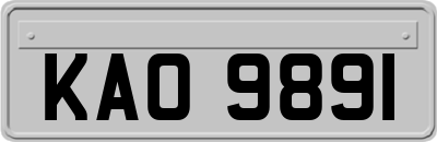 KAO9891