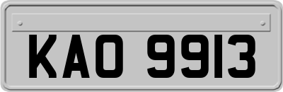 KAO9913