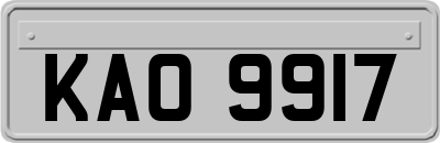 KAO9917