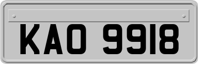 KAO9918