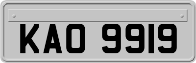 KAO9919