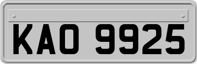 KAO9925