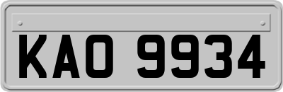 KAO9934