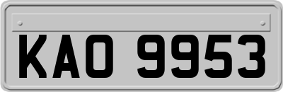 KAO9953