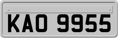 KAO9955