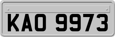 KAO9973