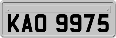 KAO9975