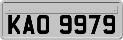 KAO9979