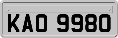 KAO9980