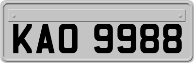KAO9988